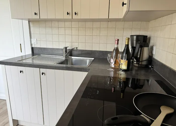 Σπίτι διακοπών De Kruishoeve De Haan